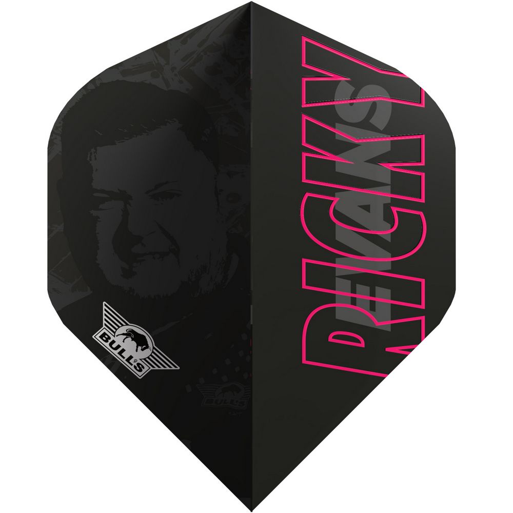 Set strelica steel Bull's Ricky Evans E2, 21g, 80% wolfram - Slika 5