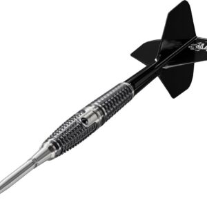 Set strelica steel Target JAPAN Paul Lim The Legend G9 24g, 90% wolfram