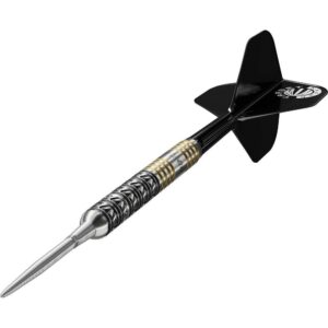 Set strelica steel Target Japan SP Beau Greaves, 22g, 90% wolfram