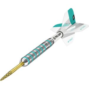 Strelice TARGET steel Rob Cross G2 2020, 21g, 90% wolfram